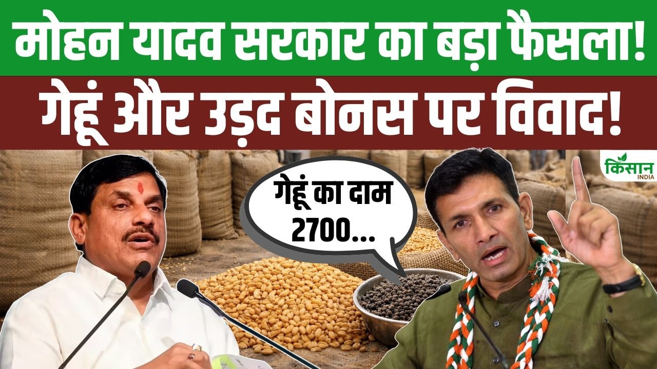 Mohan Yadav का किसानों को बड़ा तोहफा! गेहूं Bonus को लेकर Jitu Patwari की सरकार को खुली चेतावनी!