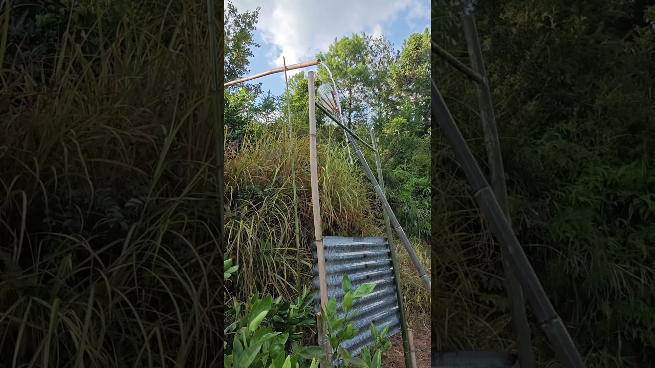 A must-have waterproof bird repellent for your orchard