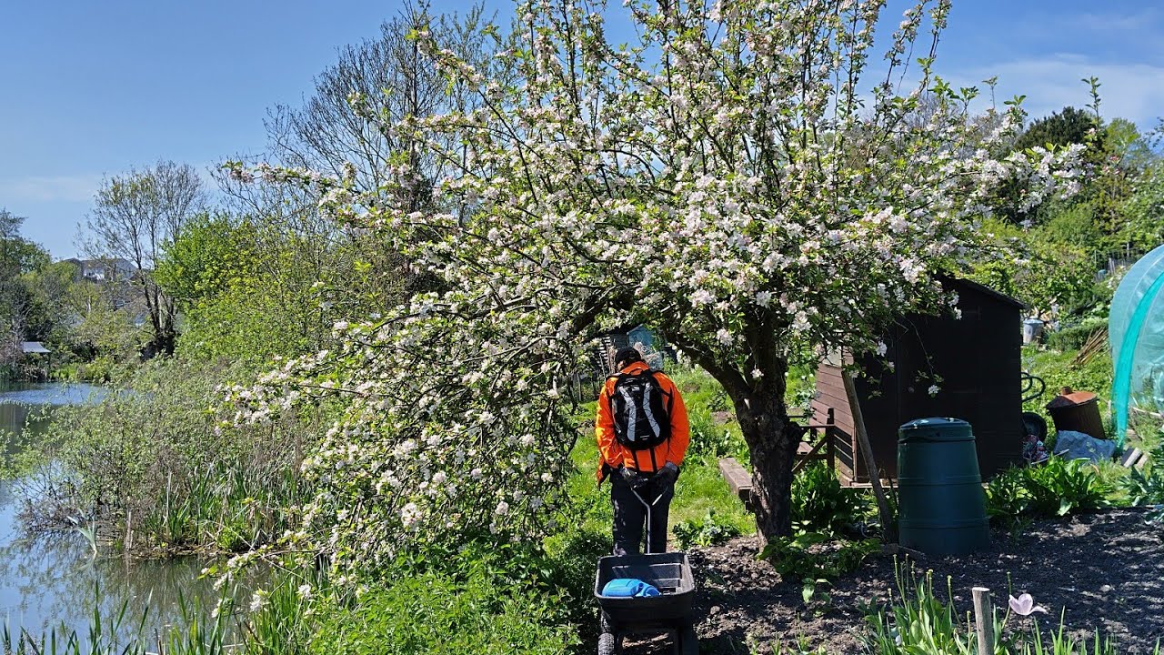 Allotment Update 1May2025 