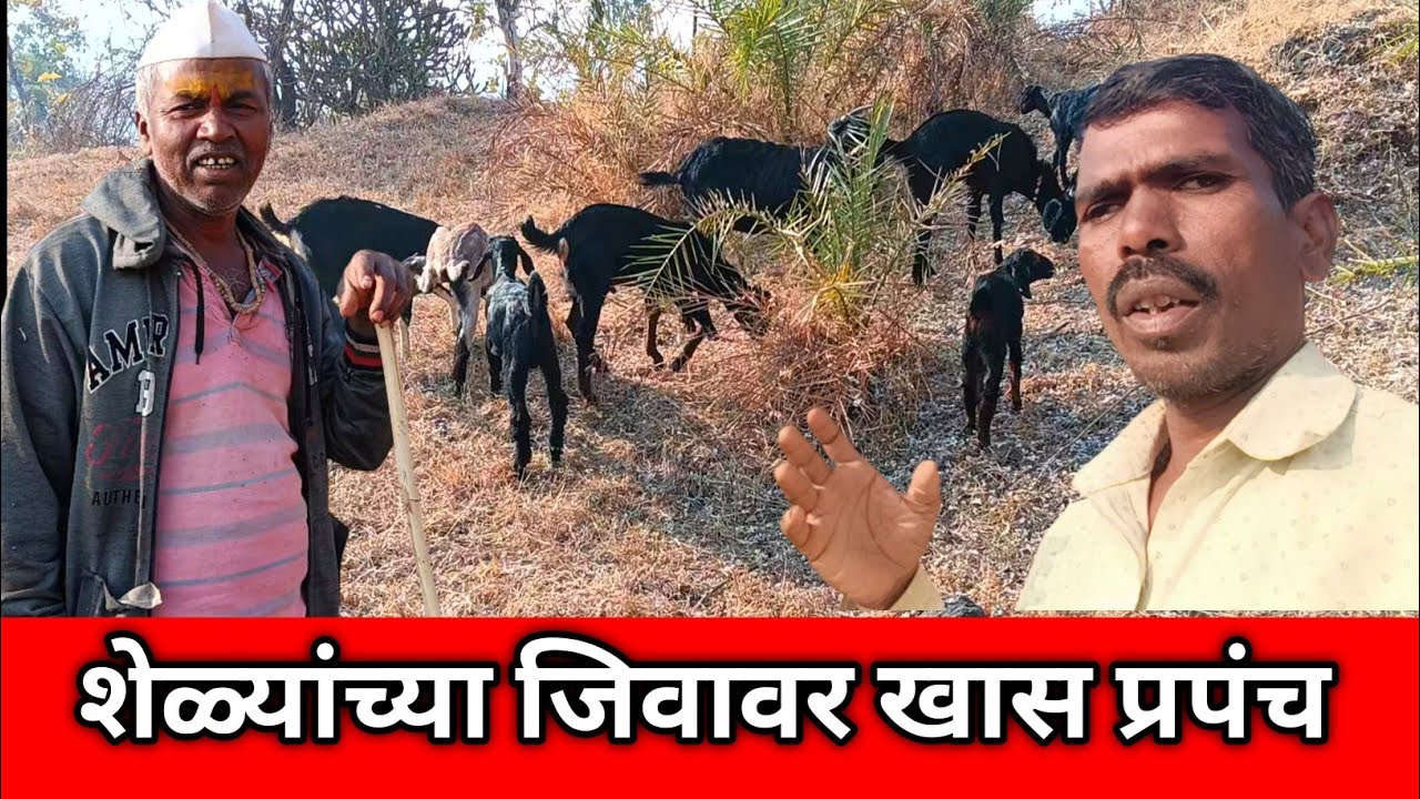 शेळ्यांच्या जिवावर खास प्रपंच/ram aditya marathi blog 