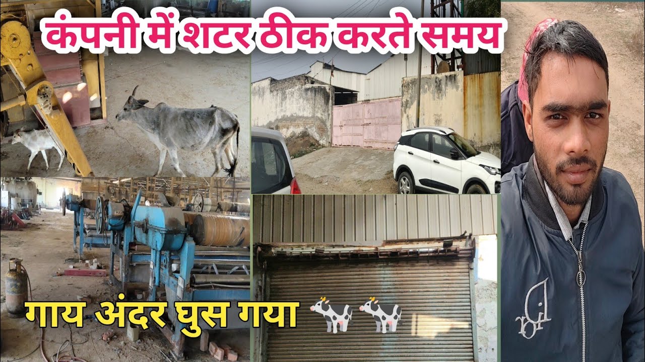 कंपनी के अंदर गाय आ गया// शटर का काम करते समय//#vikramvlogs0007 