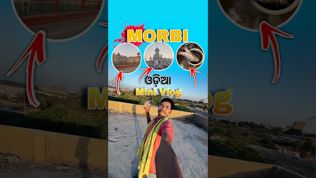 MORBI ର ସୁନ୍ଦର ରାଜମହଲ ❤️// Mini Vlog #viral #alvenove