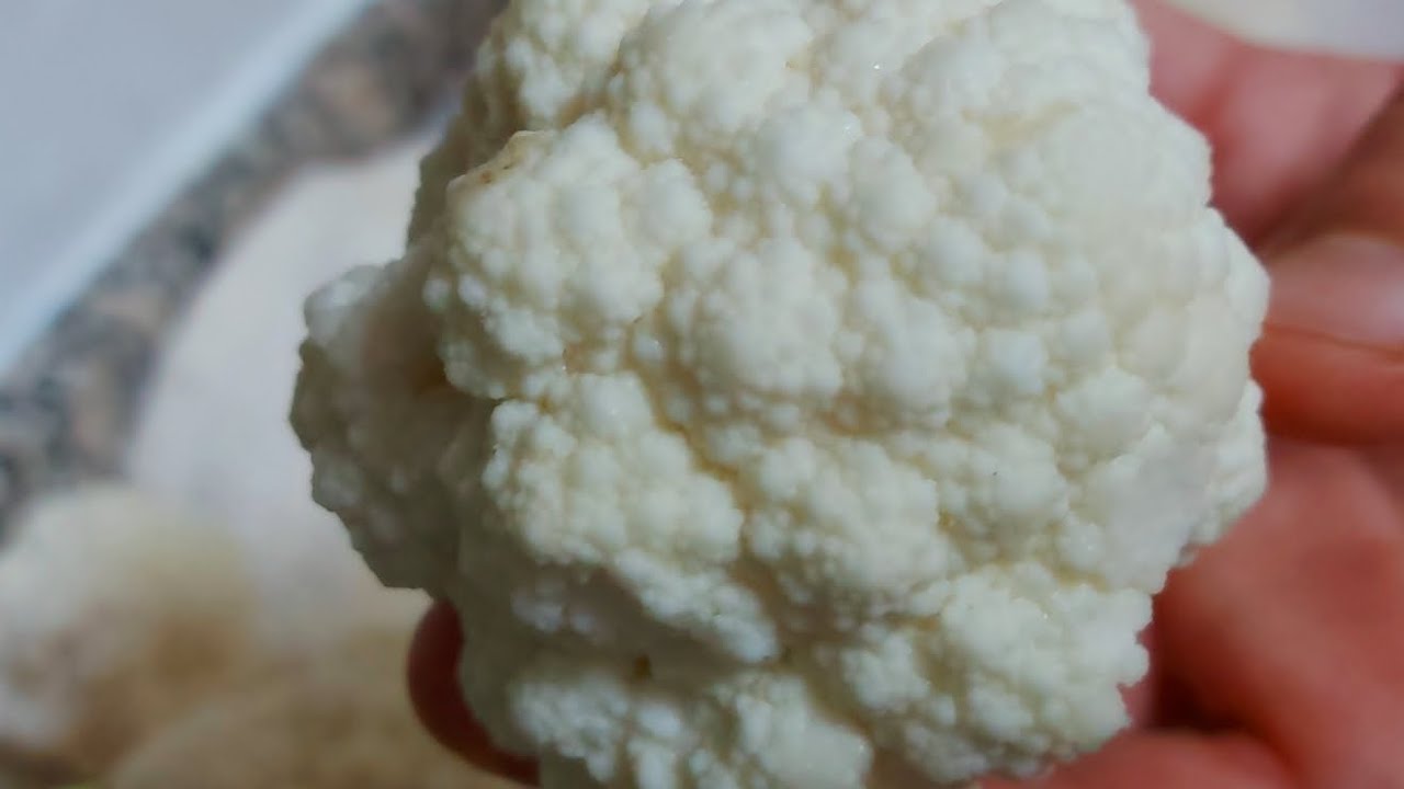 طريقة تفريز القرنبيط ألذ_الأكلات_مع_بسمة #food #ترند #مشاوى #مقلي #وصفات #اكسبلور #طبخات#قرنبيط#زهرة
