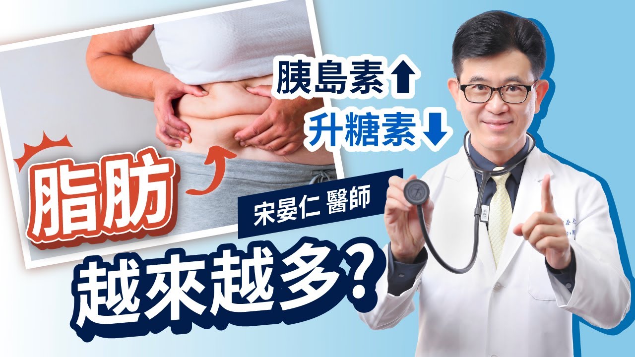 脂肪為什麼越來越多? 宋晏仁醫師：因為你的身體一直召喚胰島素啊！該怎麼減肥? 快出動胰島素的死對頭：升糖素來分解脂肪吧！