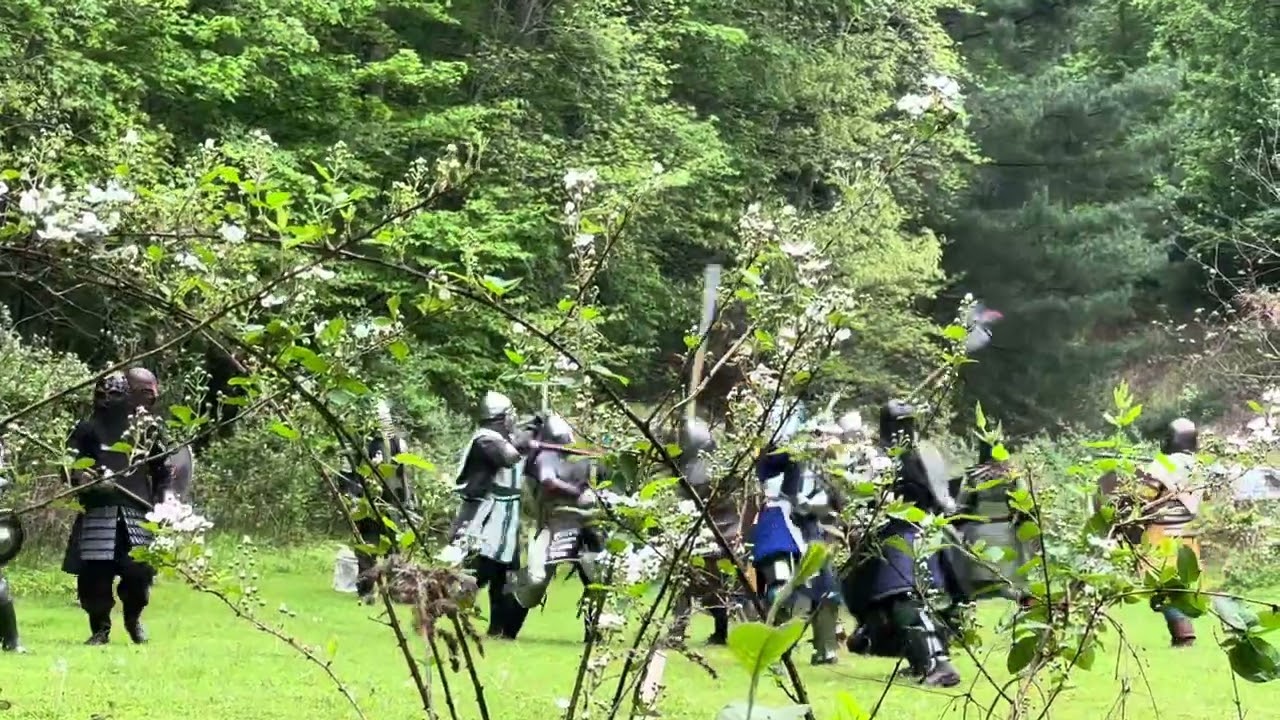 Solara Coronet War - EMP Battle
