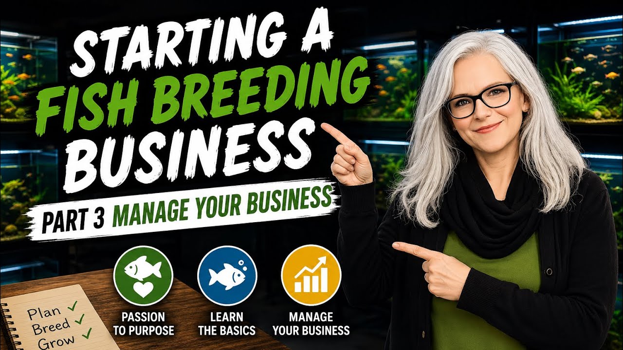 Starting a Fish Breeding Business - Part 3 Manage Your Business