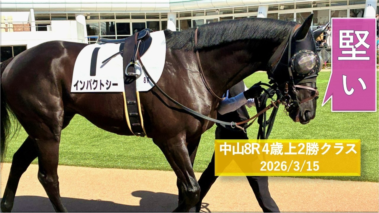 2026年3月15日 | 中山8R 4歳上2勝クラス | インパクトシー | ダノンミッション | クライスレリアーナ | パドック 現地映像 全頭 | 中山競馬場 | 芝1,600