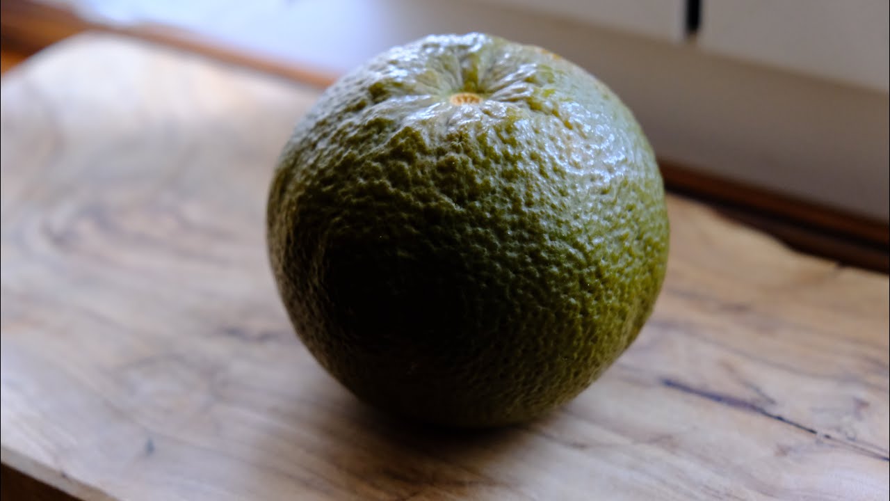 Arancio chocolate navel🍊| Mini video | Food Stories