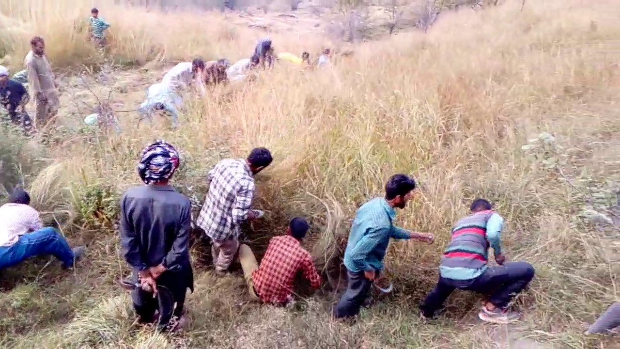 Grass cutting in Rehan (j&k)