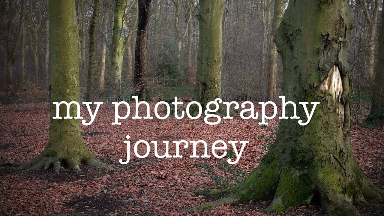 A landscape photography walk in the woods