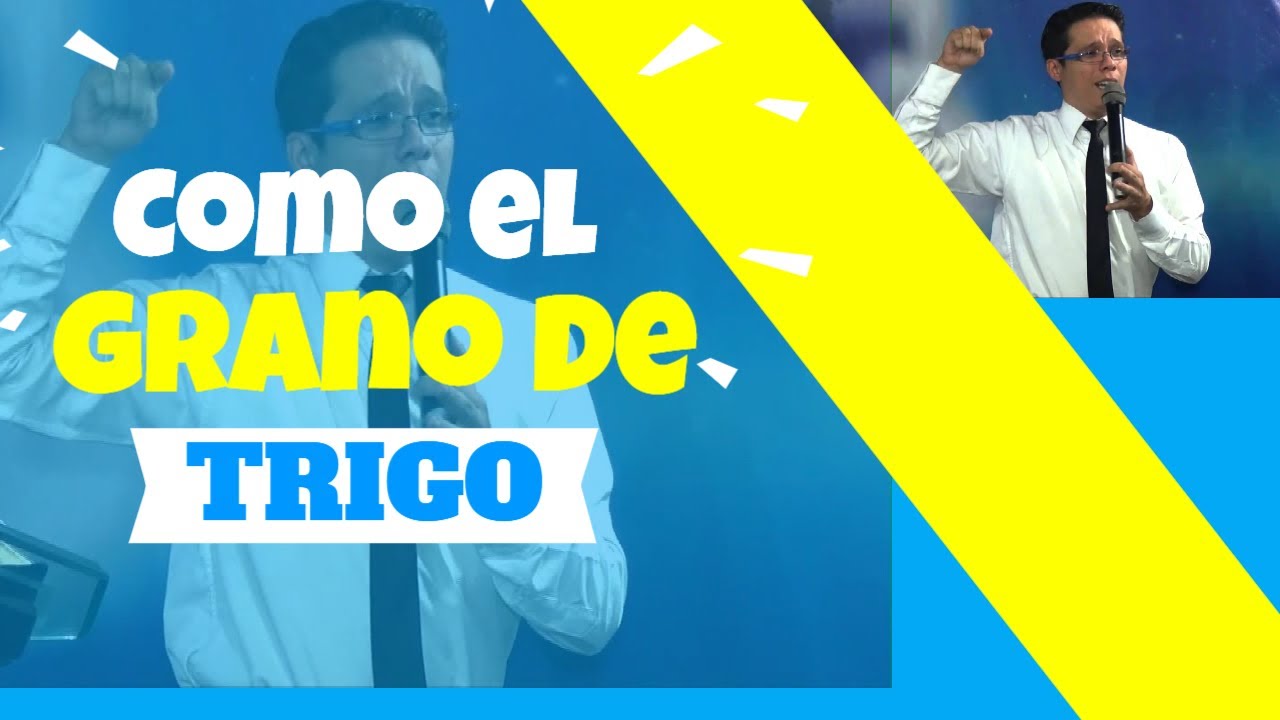 СООБЩЕНИЕ: Как пшеничное зерно