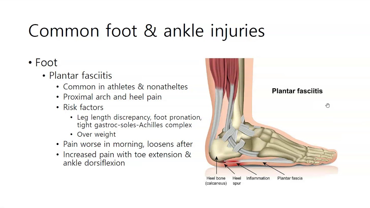 차의과학대학 스포츠의학과 AT foot ankle 2