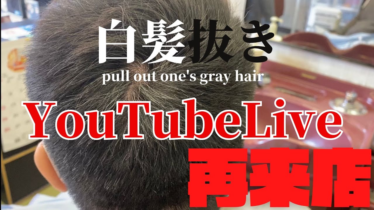 日本一の白髪抜きプロのお店動画チャンネル「BARBERDON」 がライブ配信中！