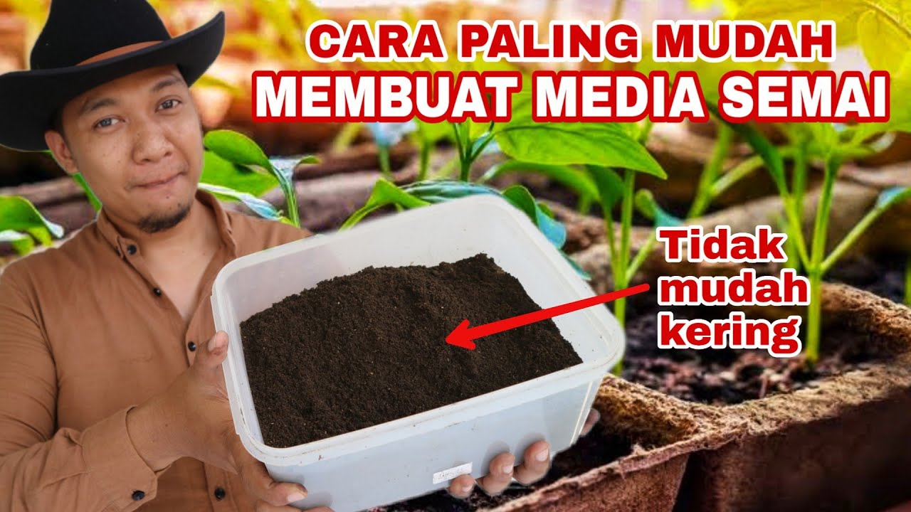 Cara membuat Media Semai super Subur, Gembur tidak mudah Kering !!