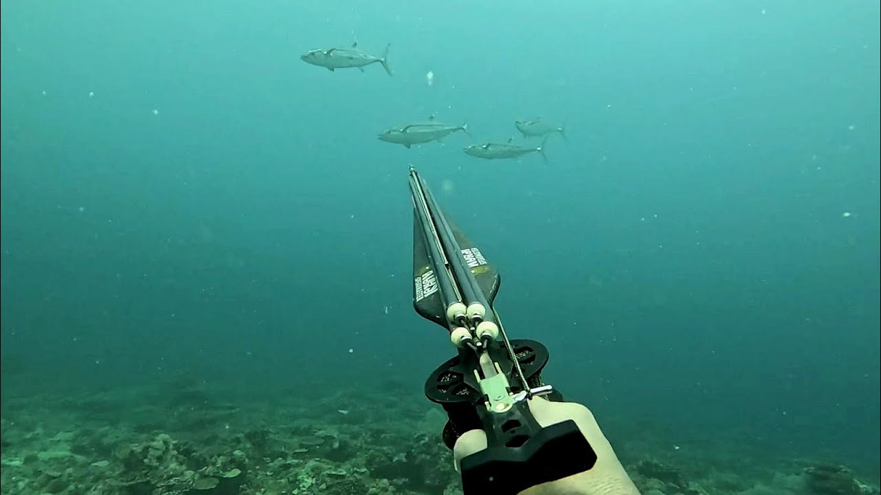 DOGTOOTH POWER💪 | ANG DAMI KONG SABLAY😭#spearfishingphilippines #viral #adventure #food #fishing 