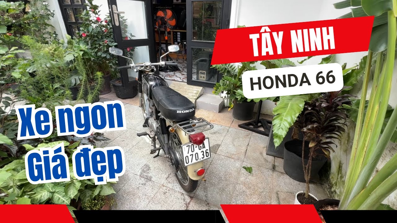 🏍️ Honda 66 – Huyền thoại sống lại sau hơn 50 năm lăn bánh!
