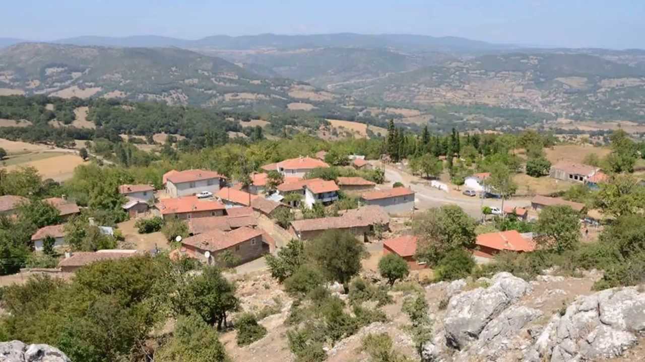 patlak köyü balya 2014