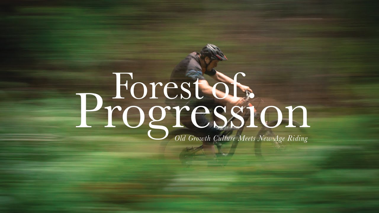 The Sunshine Coast’s Old Growth Culture Meets New Age Riding // Forest of Progression