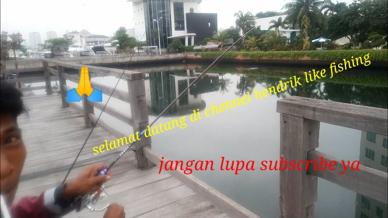 CURANG kau,tunggu pembalasan gua  #hendriklikefishing #mancingikanbandengliar