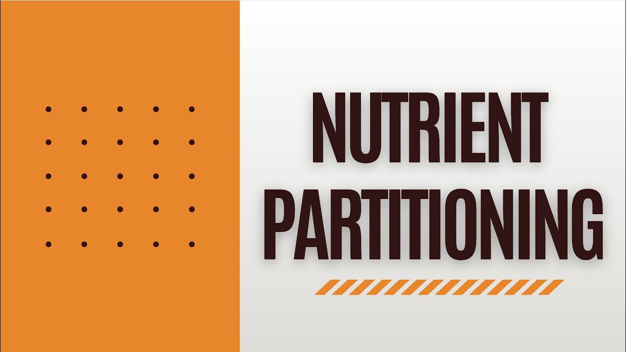 How Nutrient Partitioning Works - When to Bulk and when to Cut