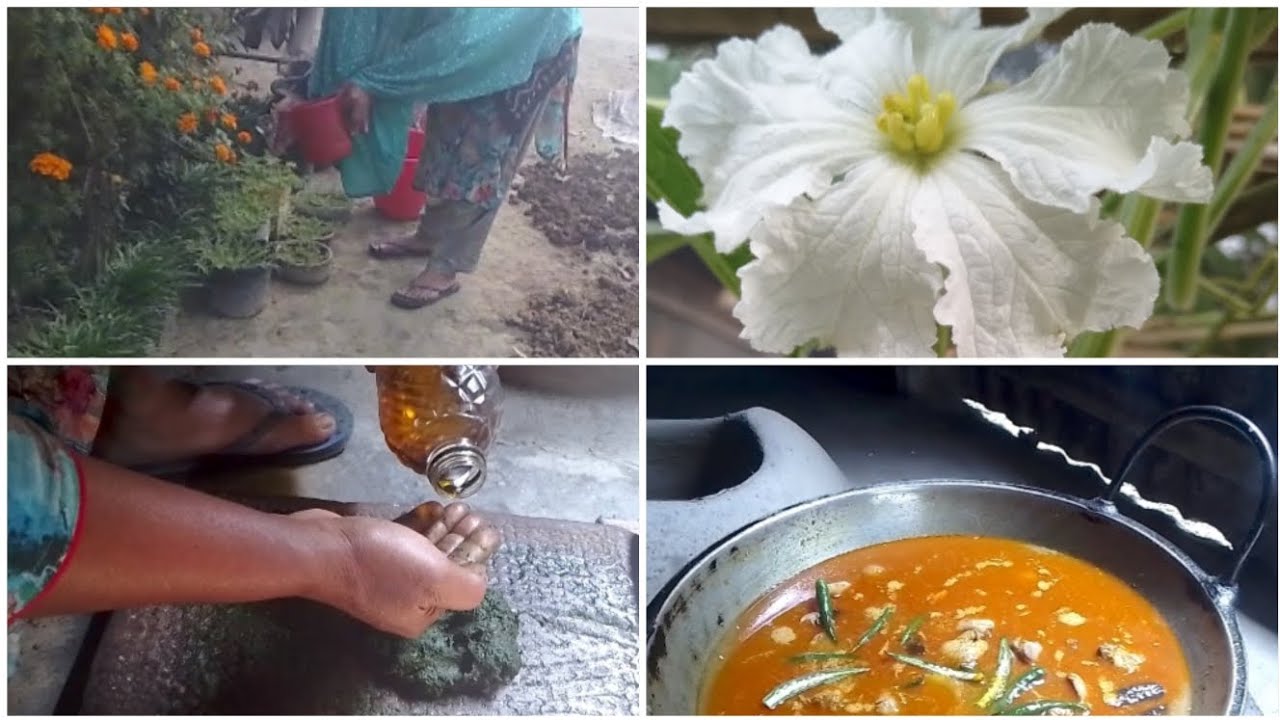 ☘️ব্যস্ততার মাঝে রান্না সরিষা বাটা দিয়ে লাউ পাতা ভর্তা মুরগির মাংস। @faridakitchenwirhvlog#foryou..