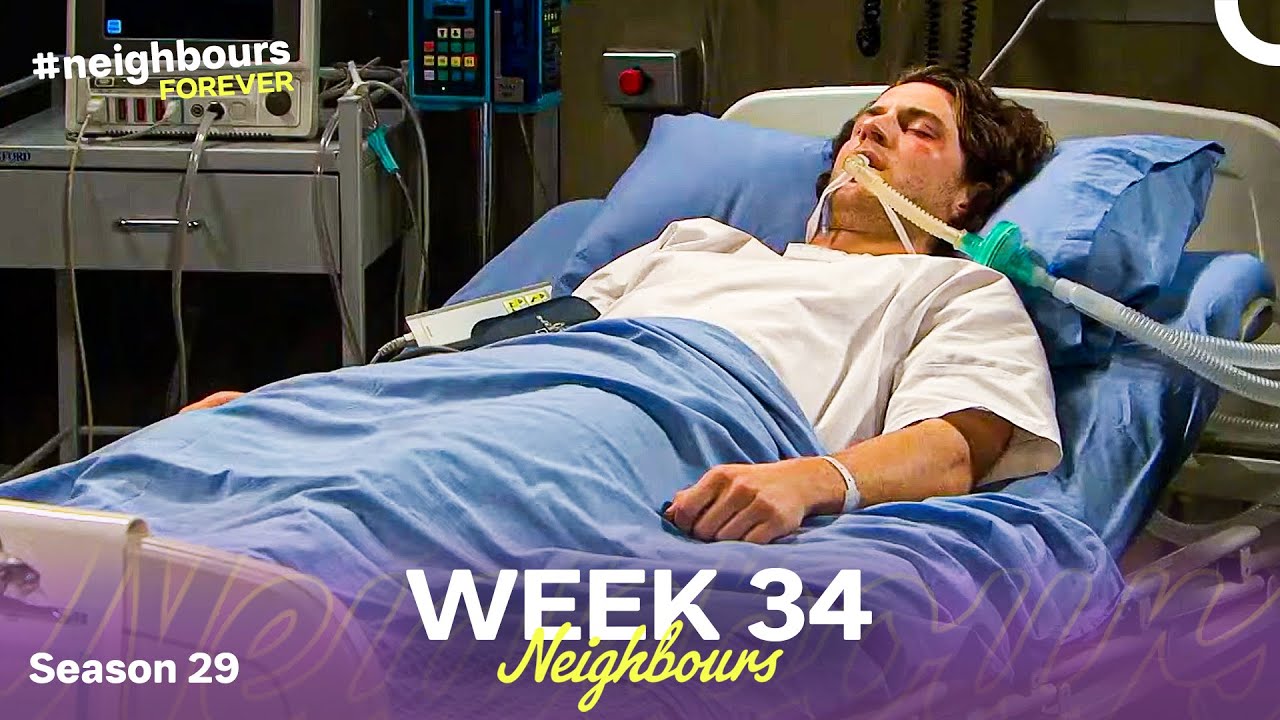 WEEK 34 | Episodes 6716-6720 | Neighbours 2013 (Season 29)