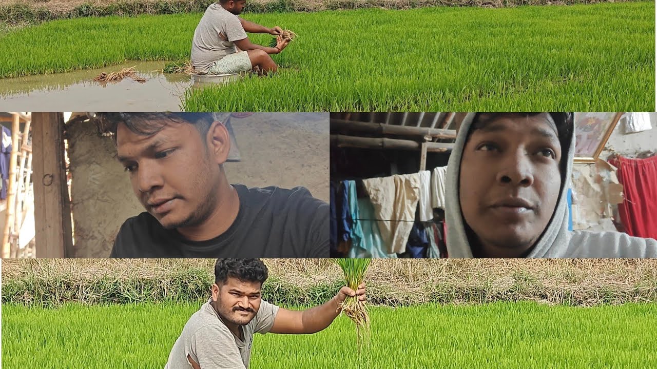 At my grandmother house and with my brother.To go in sorrow Agriculture new block