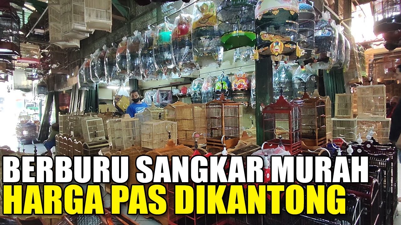 UPDATE HARGA SANGKAR BURUNG Terbaru 2021 Di Pasar Burung Pramuka Kios Sinar Sari Sangkar