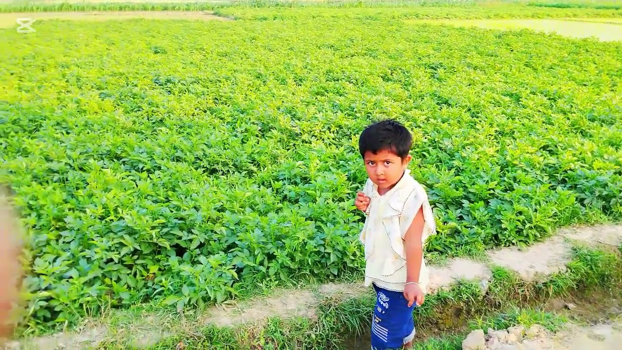 সবুজ সেমল মাঠ #vairalvideo #longvideo # training sound🥰1890%vairl #Tonmoy 