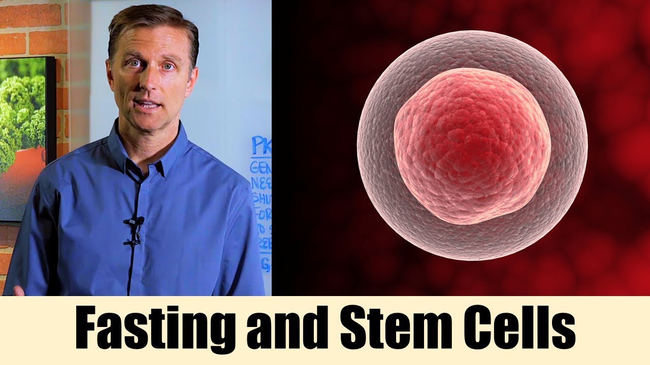 Using Fasting to Enhance Stem Cells &ndash; Dr. Berg On Intermittent Fasting & Cell Regeneration