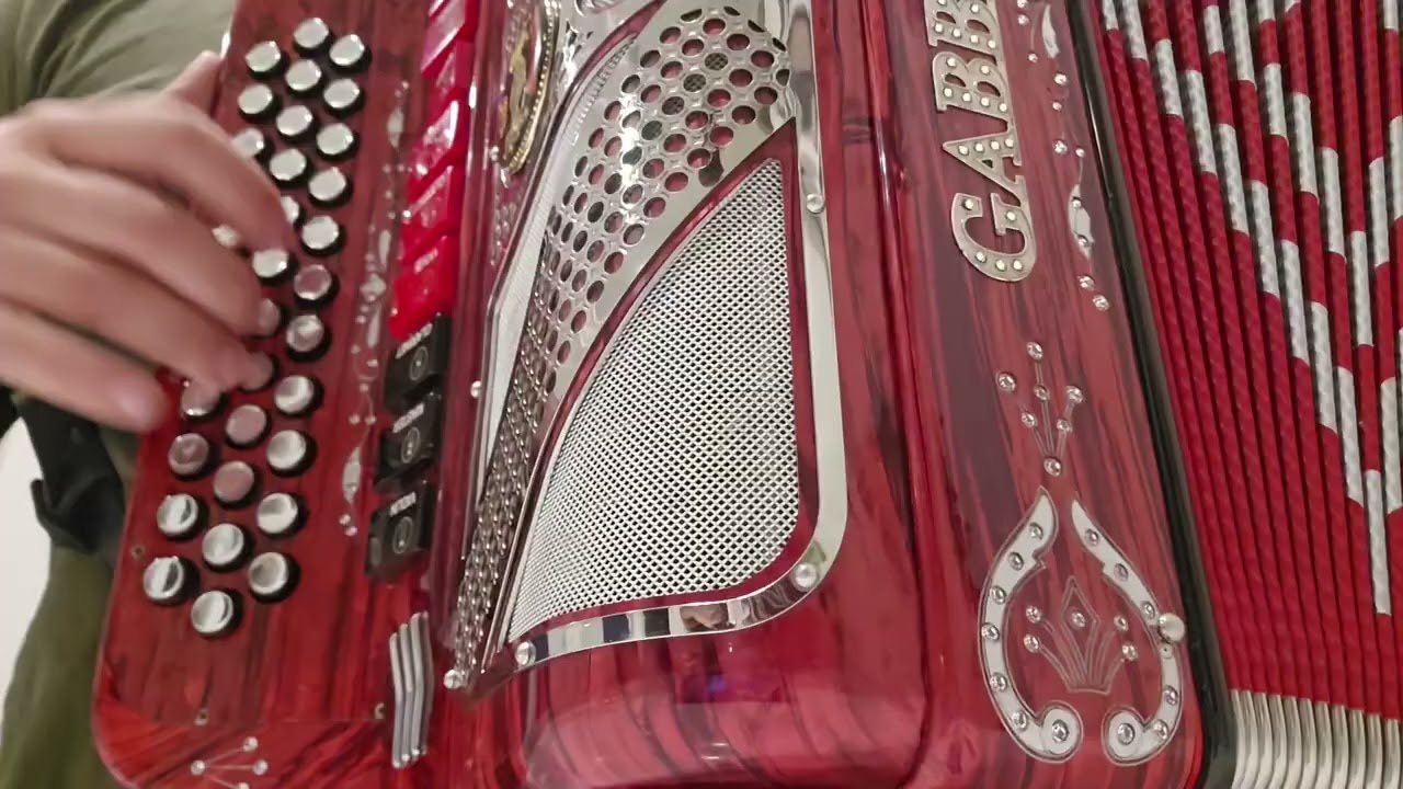 SANGOLOTEADITO #foryoupage #norteñas #musica #acordeon #zapateados #tutoriales 