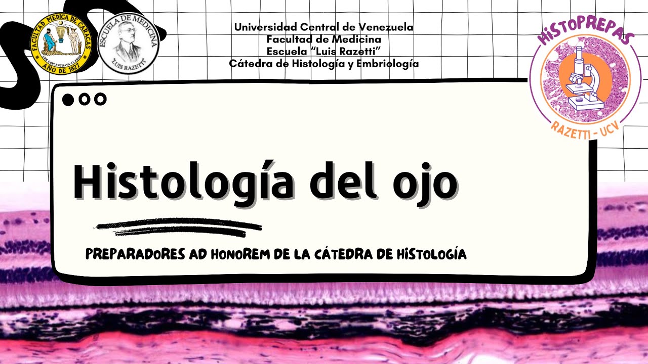 18) Historepasos - Histología del ojo