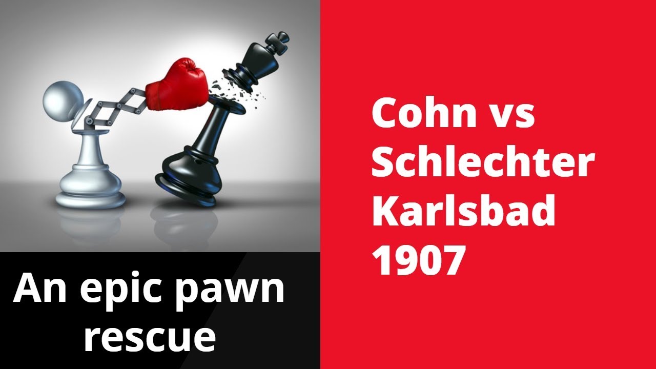An epic pawn rescue | Erich Cohn vs Carl Schlechter Karlsbad 1907