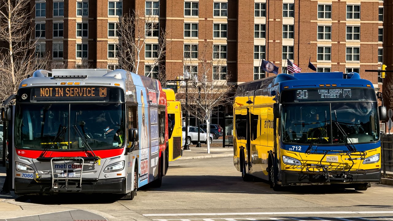 DASH Alexandria Transit Company and WMATA Metrobus Compilation at King Street-Old Town Alexandria #7