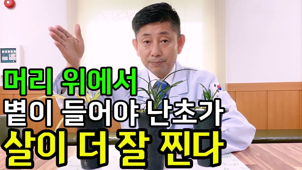 42편 [초보자 꿀팁] - 