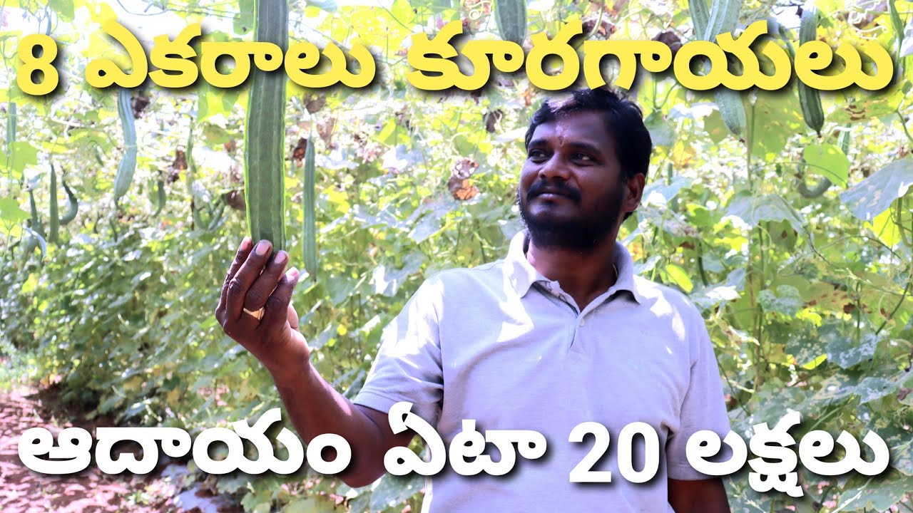 Successful Vegetable Farmer Balaraju Interview | Telugu RythuBadi