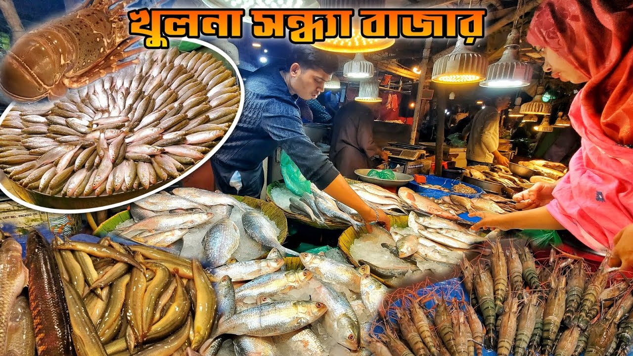 খুলনার রুপসা সন্ধ্যা মাছ বাজার | khulna Sondra Bazar | fish market in Bangladesh | নগর বাংলা টিভি
