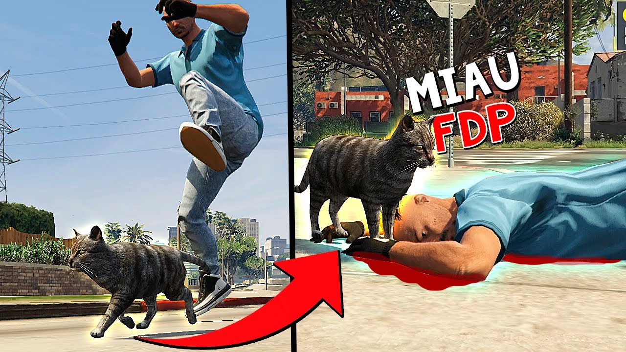 A VINGANÇA DO GATO 😂 - GTA RP