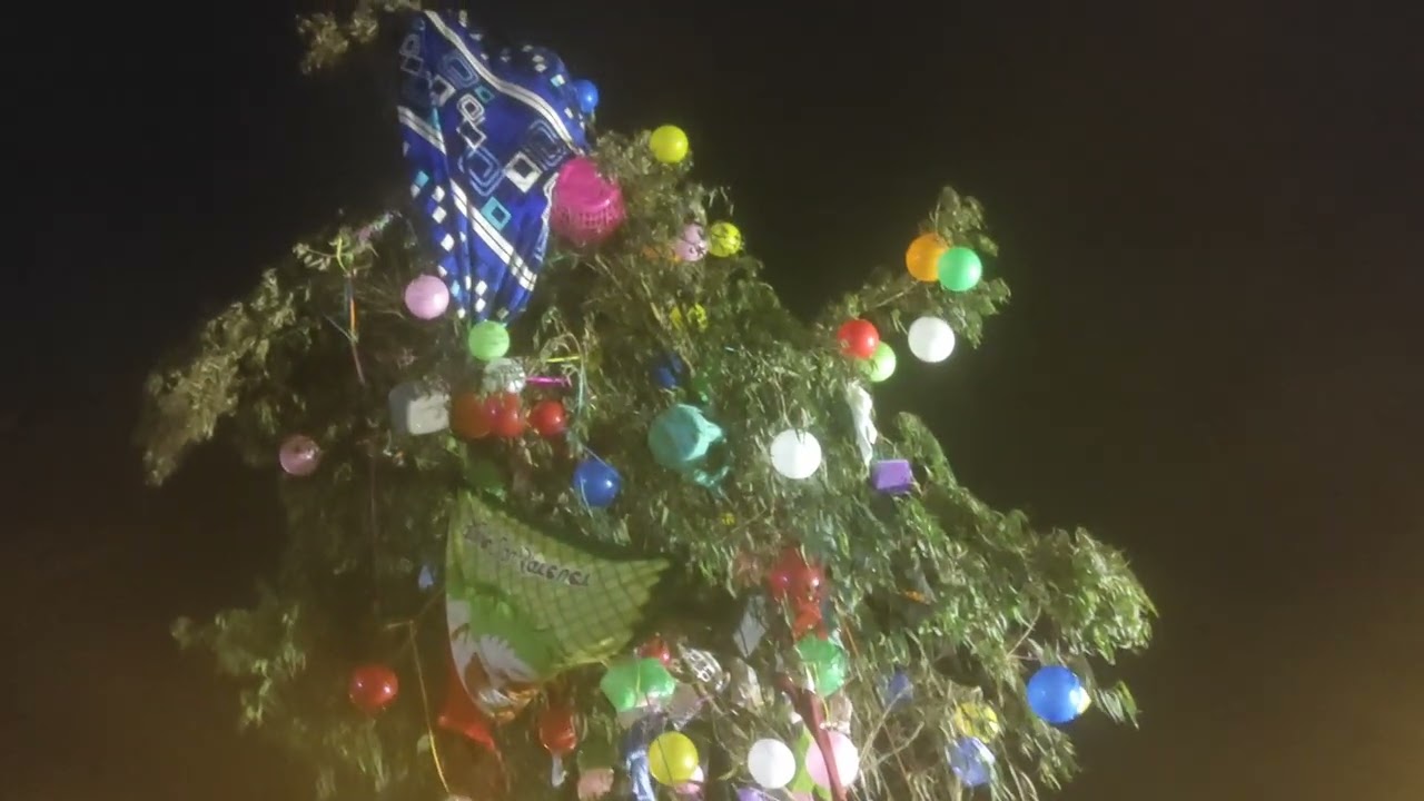 Cortando el arbol de la yunza.