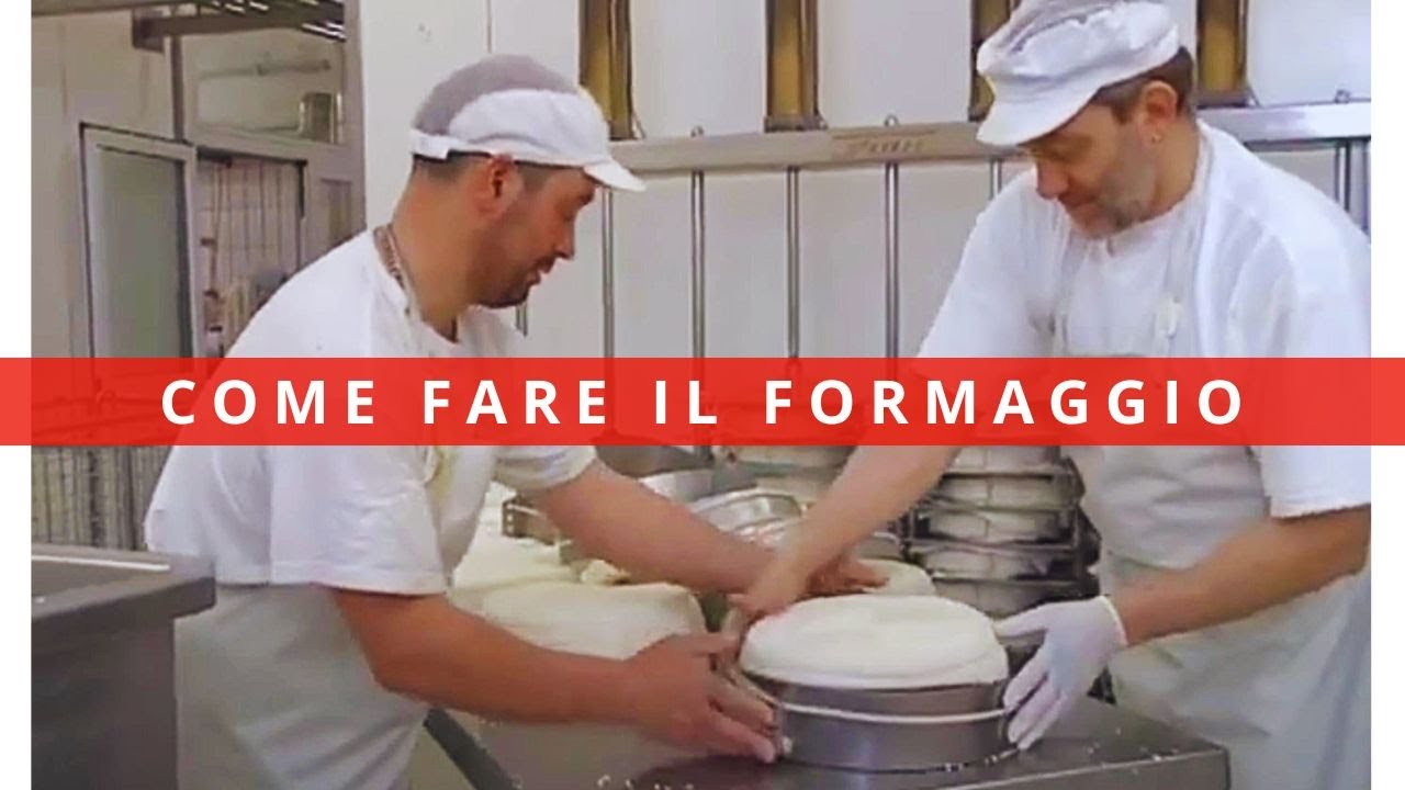 Come si fa il formaggio friulano il mestiere del Casaro latteria sociale Aviano formaggio Montasio