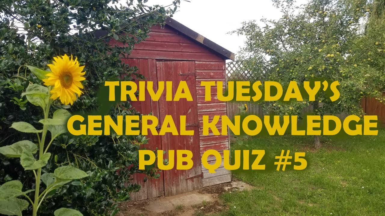 Викторина TRIVIA TUESDAY №5 для паба на общие знания — 20 случайных вопросов {ROAD TRIpVIA- эп:203]