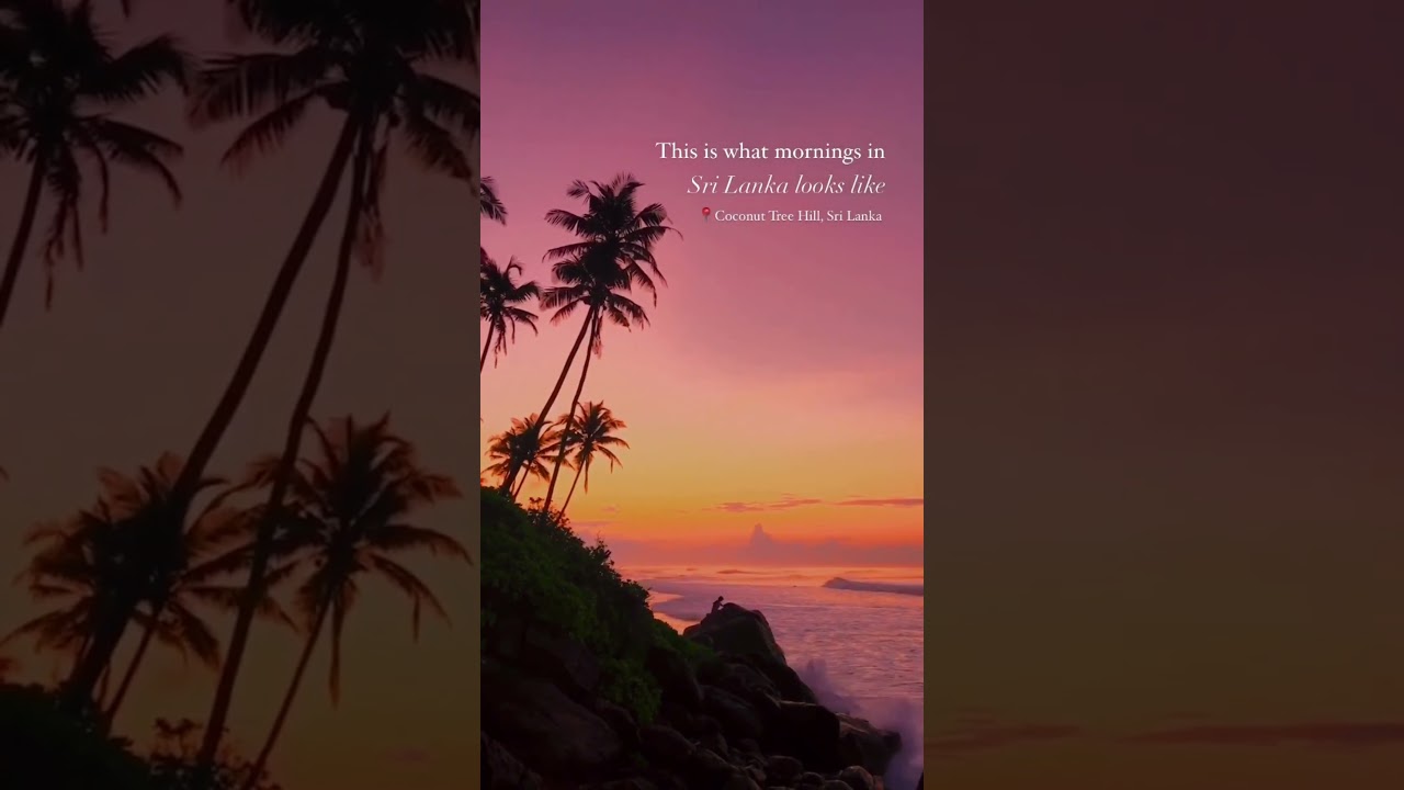📍Coconut Tree Hill, Mirissa, Sri Lanka