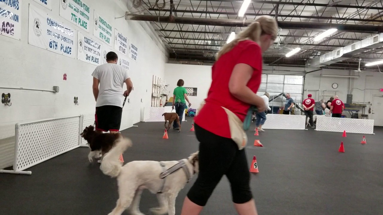 Training Sasha pomsky