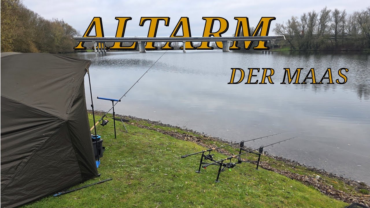 Allround angeln am Altarm der Maas