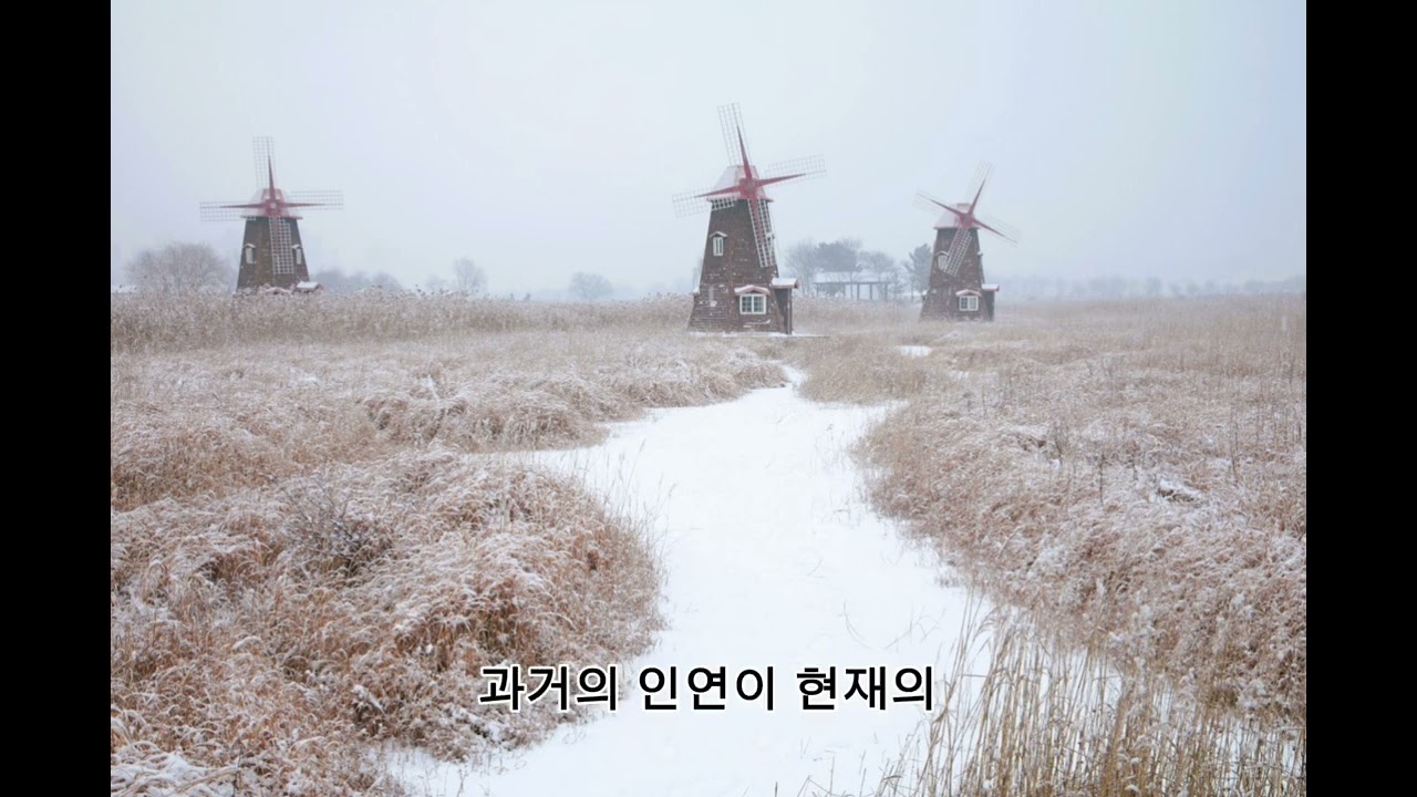 야속한 세월