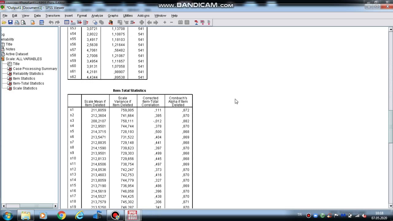 SPSS güvenilirlik analizi