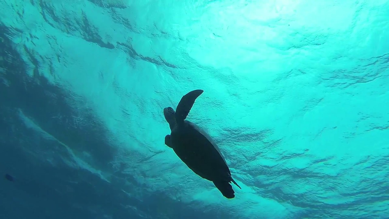 SUVADIVA-HUVADHOO ATOLL