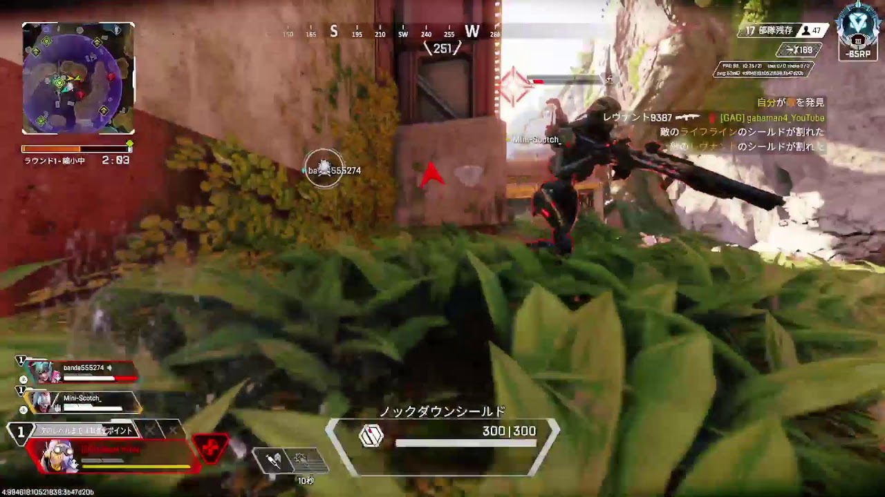 Apexダイヤランク　おひさ