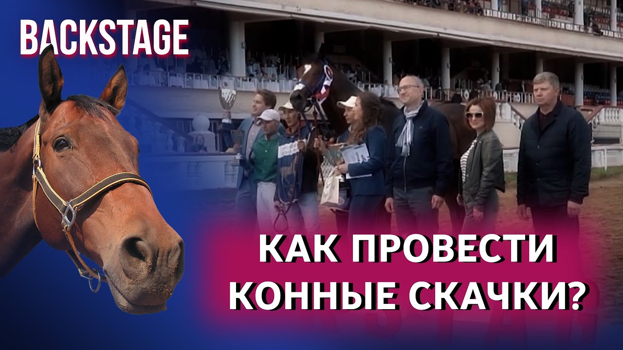 Как провести конные скачки? Backstage. Выпуск №5.