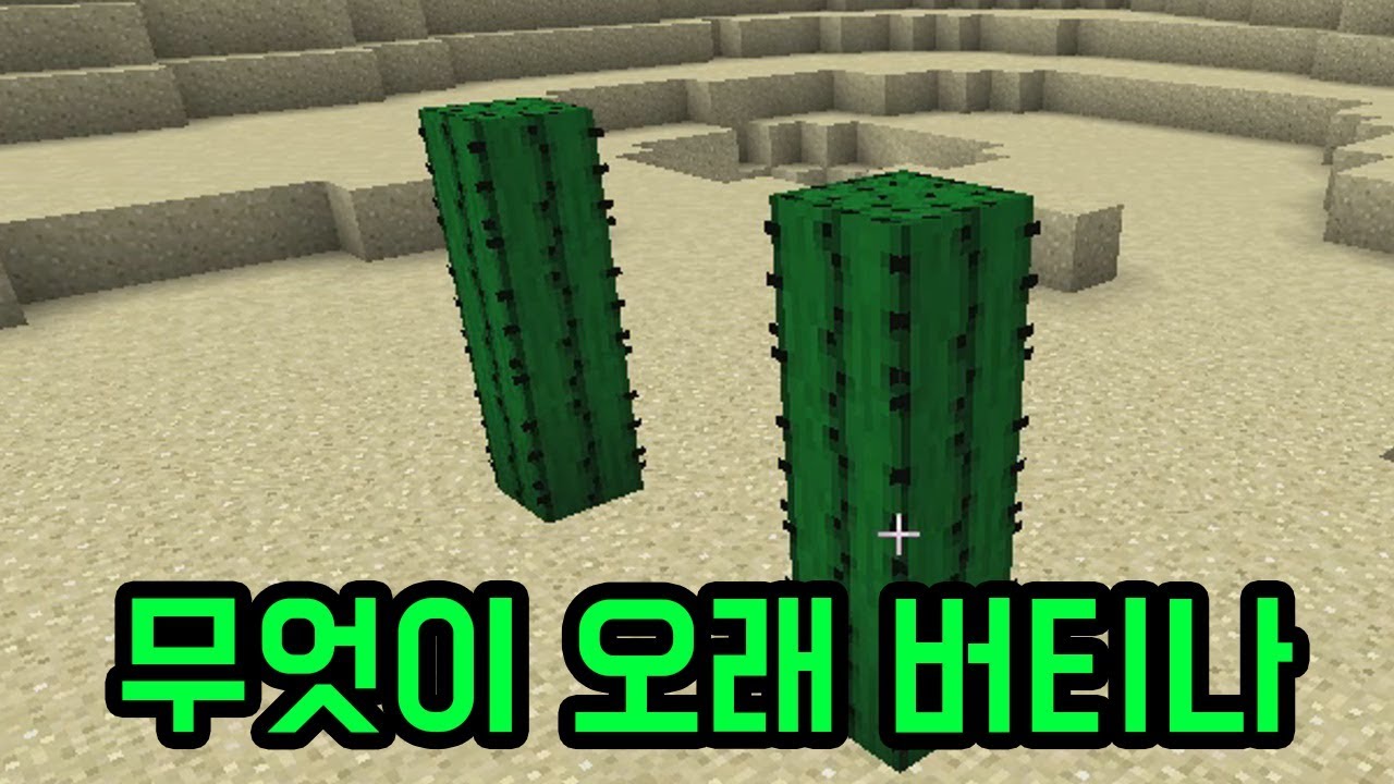 선인장 위에(마인크래프트)
